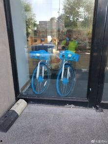 长春自行车爆料最新消息,揭秘城市绿色出行新动态 第3张 长春自行车爆料最新消息,揭秘城市绿色出行新动态 第3张